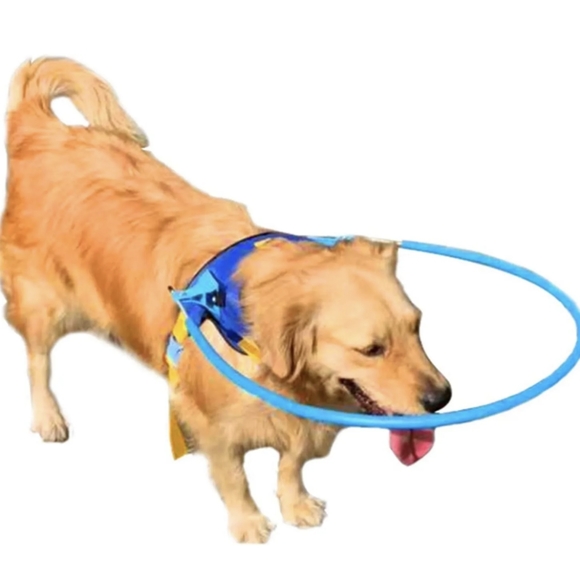 NEW Dog anti-collision collar XXS - Picture 2 of 7